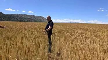 Saimbeyli'de Atıl Araziler Üretime Kazandırılıyor