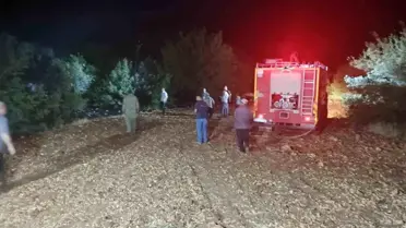 Besni'de Çöp Yangını Ormana Sıçradı