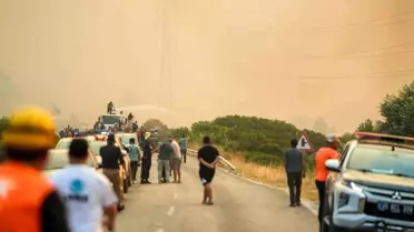 Çeşme'de Orman Yangını