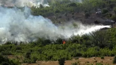 Kırklareli'nde Yangın: 150 Dekar Zarar