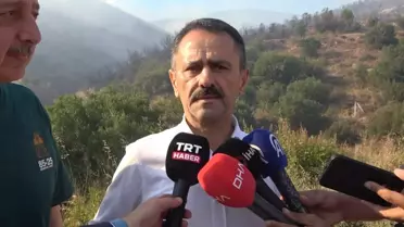 Derince'deki Orman Yangını Kontrol Altında