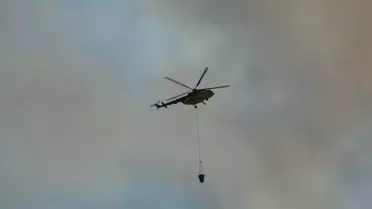Kocaeli'de Orman Yangını Kontrol Altında