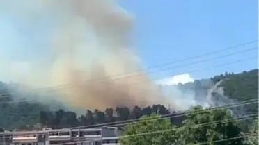 Kocaeli'de Orman Yangını