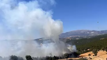 Gediz'de Orman Yangını Çıktı