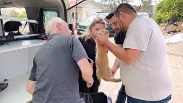 Bilecik'te Yangın Sonrası Hayvanlara Destek