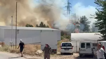 Aksu'da Orman Yangını Çıktı
