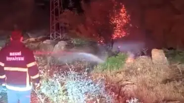 Adıyaman'da Orman Yangını: 600 Dönüm Yandı