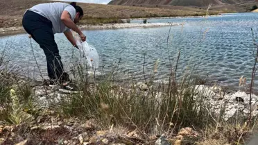 Eskişehir'e 765 Bin Yavru Sazan Bırakıldı