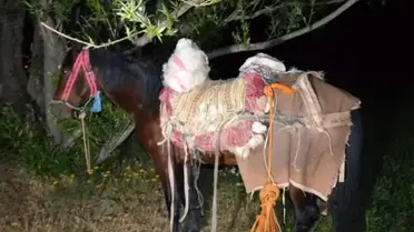 Başkale'de 97 kg Skunk Uyuşturucu Yakalandı
