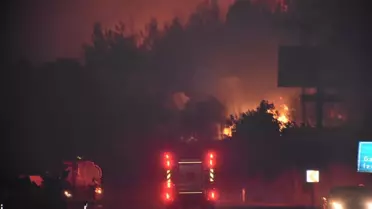 İzmir'de Orman Yangını, Otoyol Kapandı