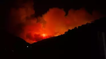 Ödemiş'te Orman Yangını