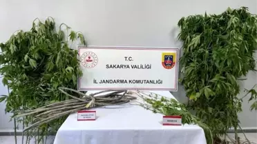 Uyuşturucu Operasyonunda 1 Kişi Tutuklandı