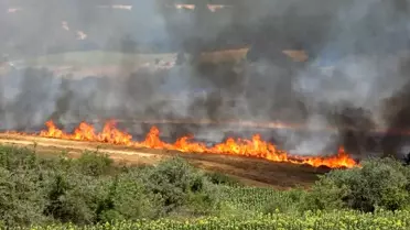 Kırklareli'nde Yangın: 500 Dekar Zarar