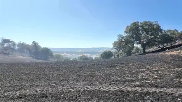 Gediz'deki Orman Yangını Kontrol Altına Alındı