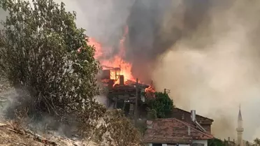 İzmir'de Orman Yangını: Yatalak Hasta Hayatını Kaybetti