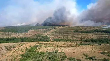 Silivri'de Yangın: Tarım Alanlarından Ormana Sıçradı