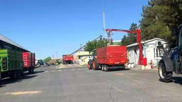 TMO Buğday Alım Sezonuna Randevulu Sistemle Başladı