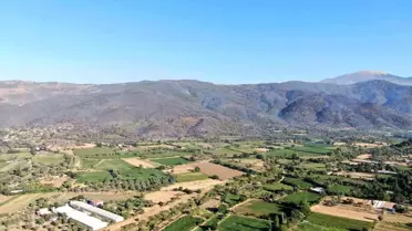 Ödemiş'te Orman Yangını 3. Günde