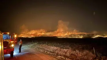 California'da Dev Yangın: 52 Bin Dönüm Küle Döndü