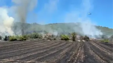 Yenişehir'de Yangın Kontrol Altına Alındı