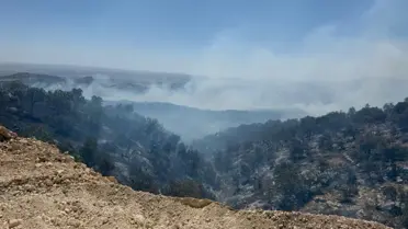 Gabar Dağı'nda Orman Yangını