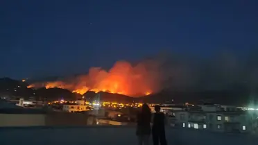 Hatay'da Orman Yangını Büyüyor