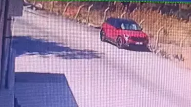 Orman Yangını Nedeniyle 5 Gözaltı