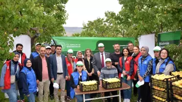 Kağızman'da Gönüllü Kayısı Hasadı