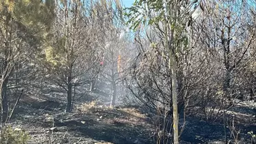 Gebze'de Yangın Kontrol Altına Alındı