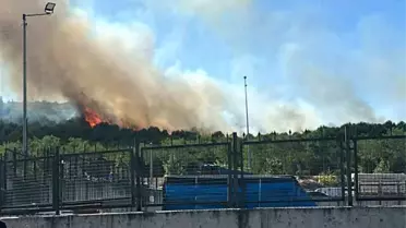 Gebze'de Orman Yangını