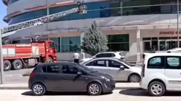 Nusaybin'de Mahsur Kalan Kedi Kurtarıldı