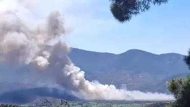 Muğla'da Yangın Alarmı: Pınarcık Mahallesi'nde Yangın Çıktı