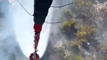 Milas'ta Orman Yangını