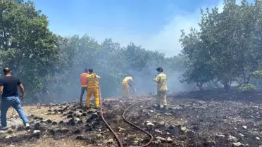 Eskişehir'de Orman Yangını Kontrol Altına Alındı
