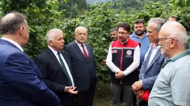 Vali Yıldırım: Fındıkçılık Ciddiye Alınmalı