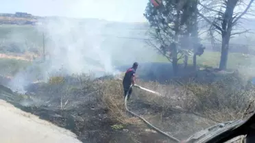 Bandırma'da Ot ve Çöp Yangınları Kontrol Altına Alındı