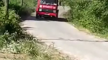Çaycuma'da Çöplerin Yakılması Sonucu Yangın Çıktı