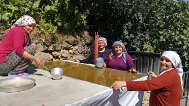 Kemaliye'de Kadınlar Geleneksel Pestil Üretimine Başladı