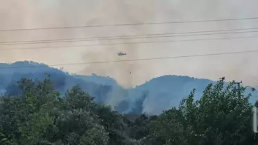 Dörtyol'da Orman Yangını Devam Ediyor