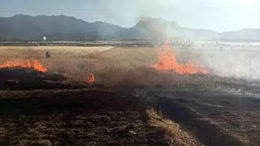Seydişehir'de Tarım Arazisinde Yangın
