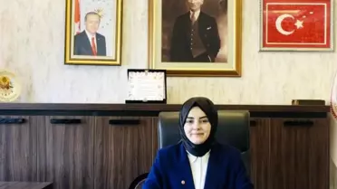 Gölpazarı'ndaki Yangın Sonrası Hasar Tespiti