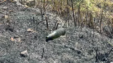 Düzce'de Cam Şişe Yangını: 2 Ceviz Ağacı Zararı