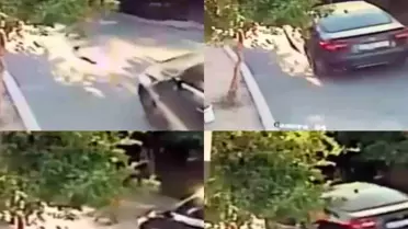 Mersin'de Köpek, Aracın Altında Kaldı