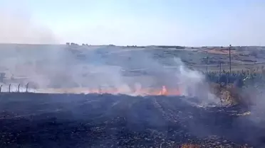 Arnavutköy'de Tarla Yangını