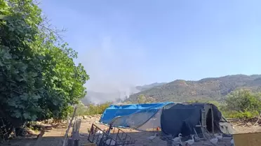 Aydın'da Orman Yangını: Mücadele Sürüyor