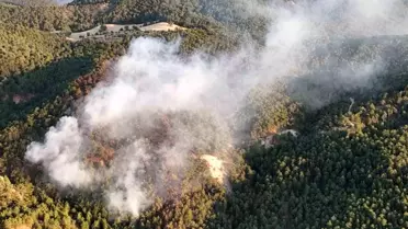 Bolu'da Orman Yangını Kontrol Altında