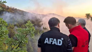 Bolu'da Orman Yangını Kontrol Altına Alındı