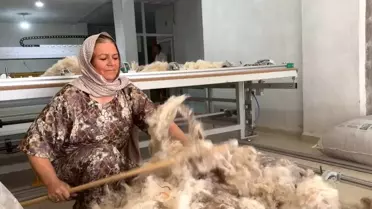 Cemile Şahin'in Yün Girişimi