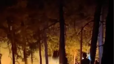 Eşeler Dağı'ndaki Yangın Kısa Sürede Söndürüldü