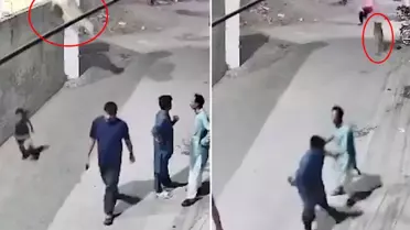 Evde bakılan aslan, duvardan atlayarak sokaktaki insanlara saldırdı